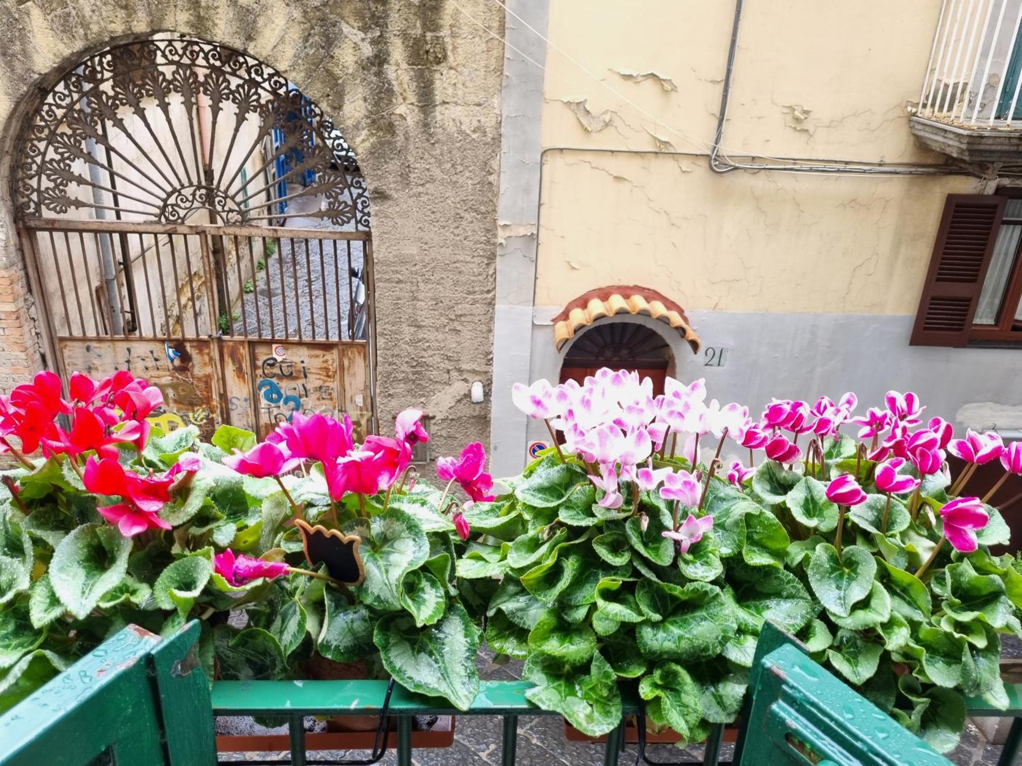 La Casa Di Domi Daire Napoli Dış mekan fotoğraf